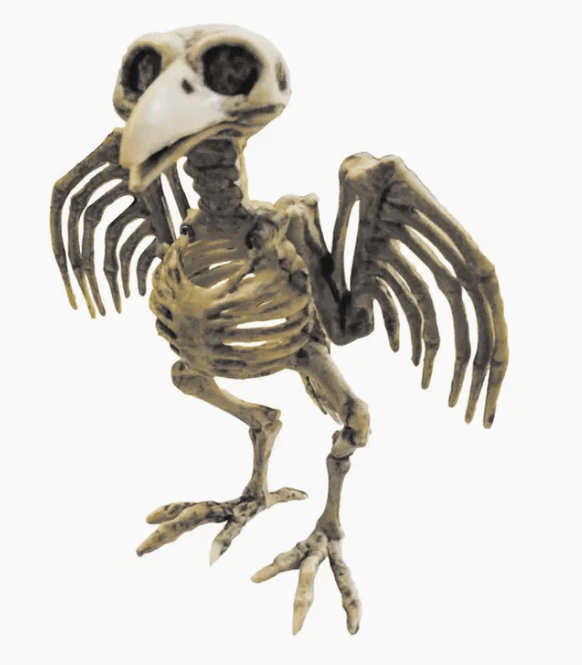 Hovedbilde Halloween fugleskjelett dekorasjon